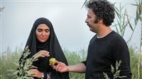 مروری بر آخرین خبرهای فرهنگی هنری